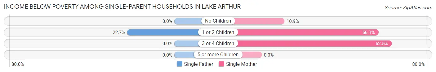 Income Below Poverty Among Single-Parent Households in Lake Arthur