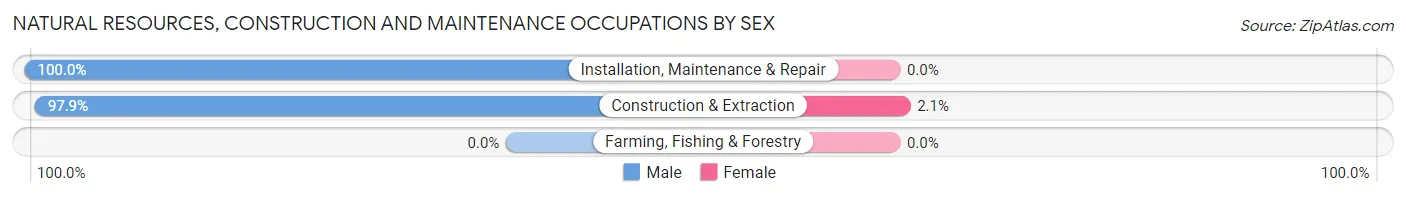 Natural Resources, Construction and Maintenance Occupations by Sex in Lake Arthur