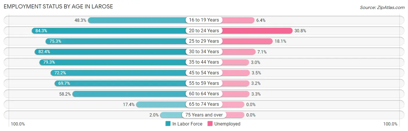 Employment Status by Age in Larose