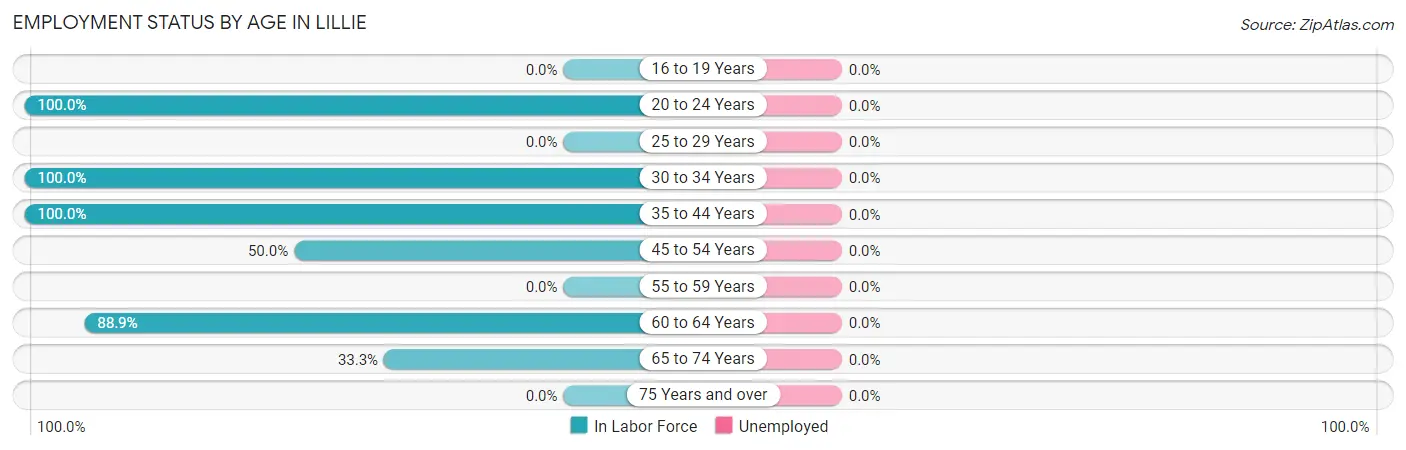 Employment Status by Age in Lillie