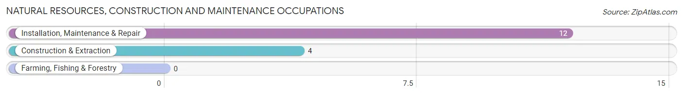 Natural Resources, Construction and Maintenance Occupations in Lillie