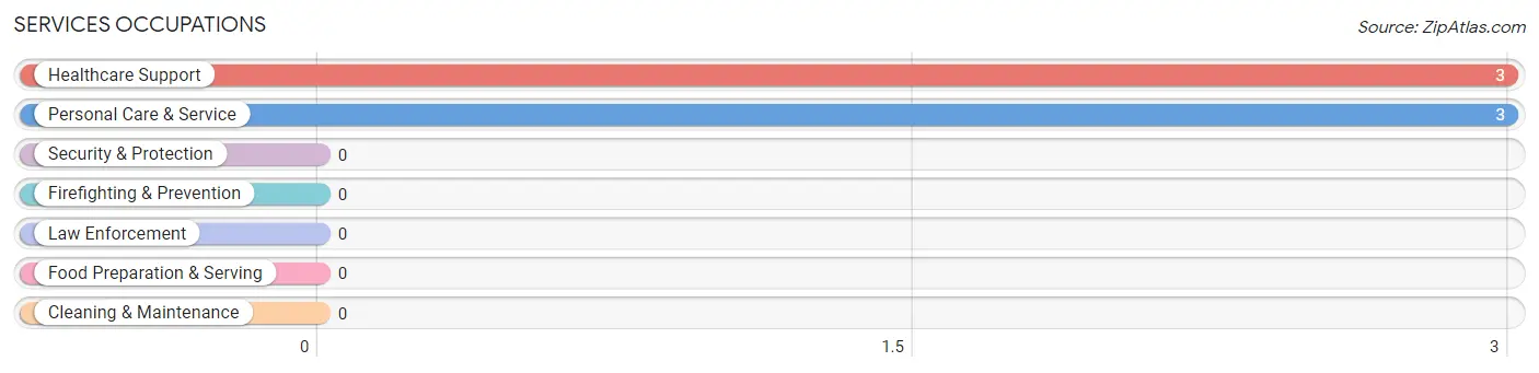 Services Occupations in Lisbon