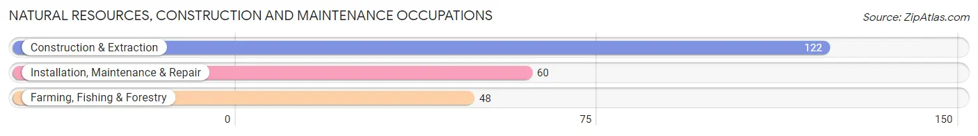 Natural Resources, Construction and Maintenance Occupations in Lockport