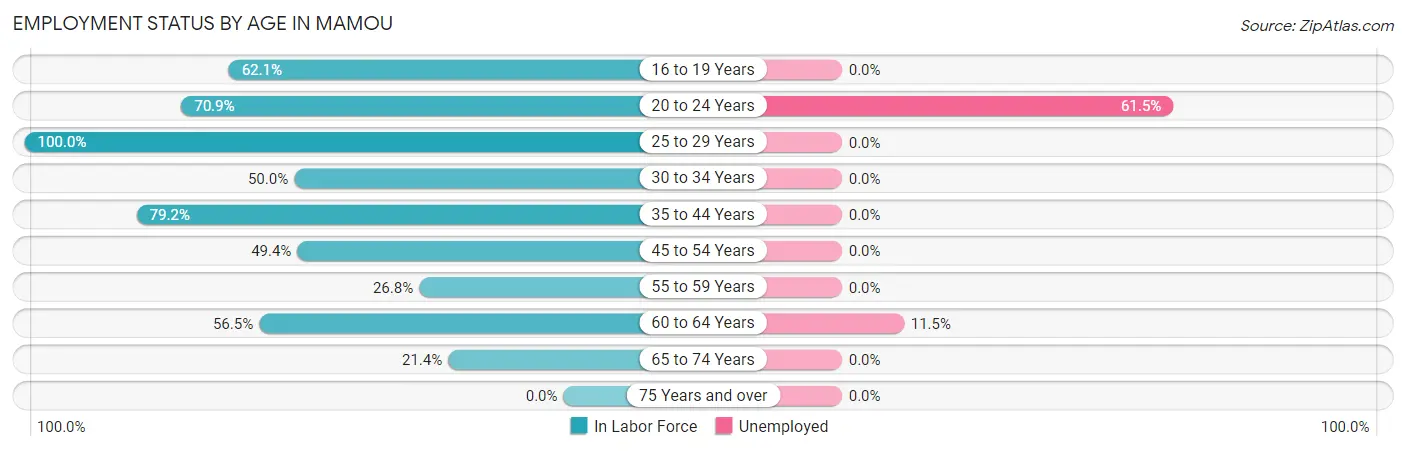 Employment Status by Age in Mamou