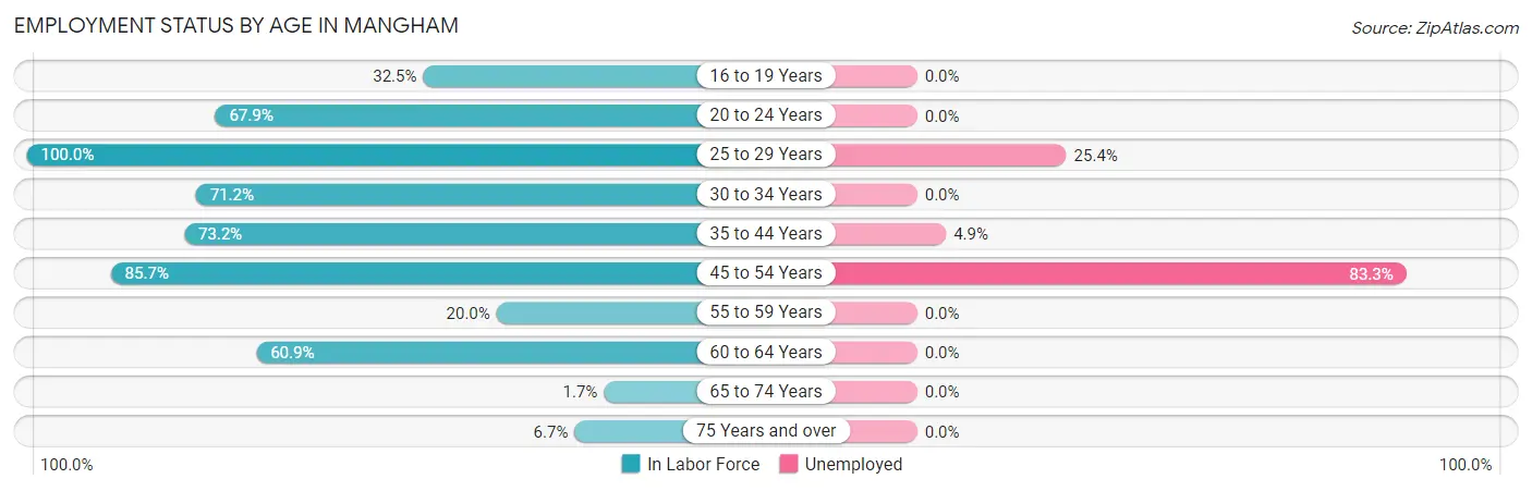 Employment Status by Age in Mangham