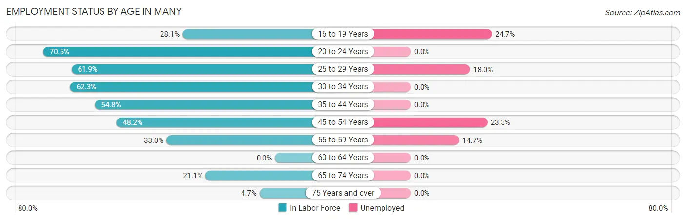 Employment Status by Age in Many
