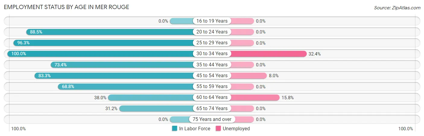 Employment Status by Age in Mer Rouge