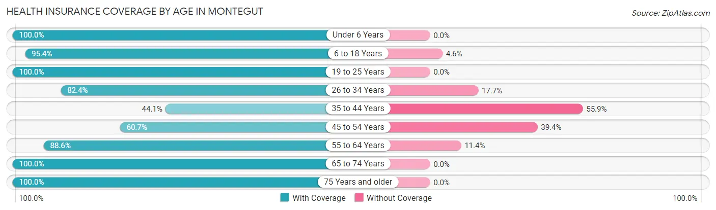 Health Insurance Coverage by Age in Montegut