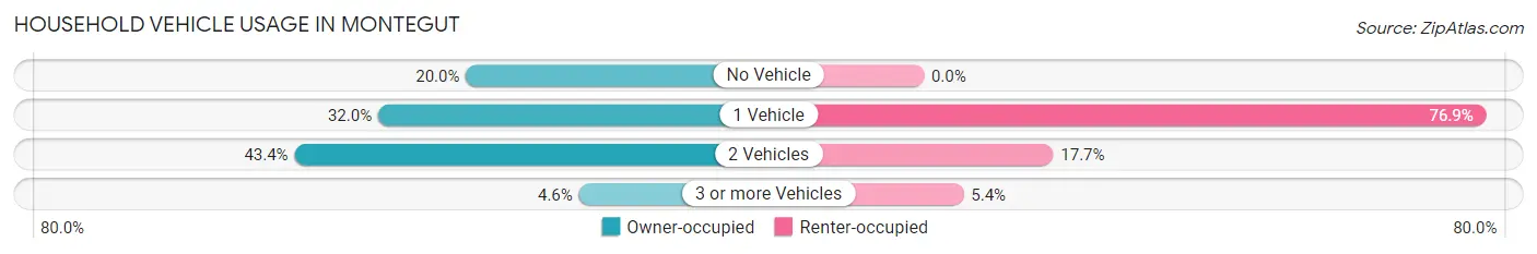 Household Vehicle Usage in Montegut