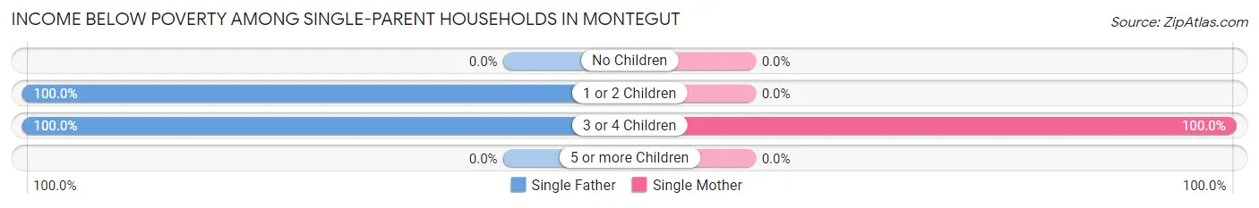 Income Below Poverty Among Single-Parent Households in Montegut