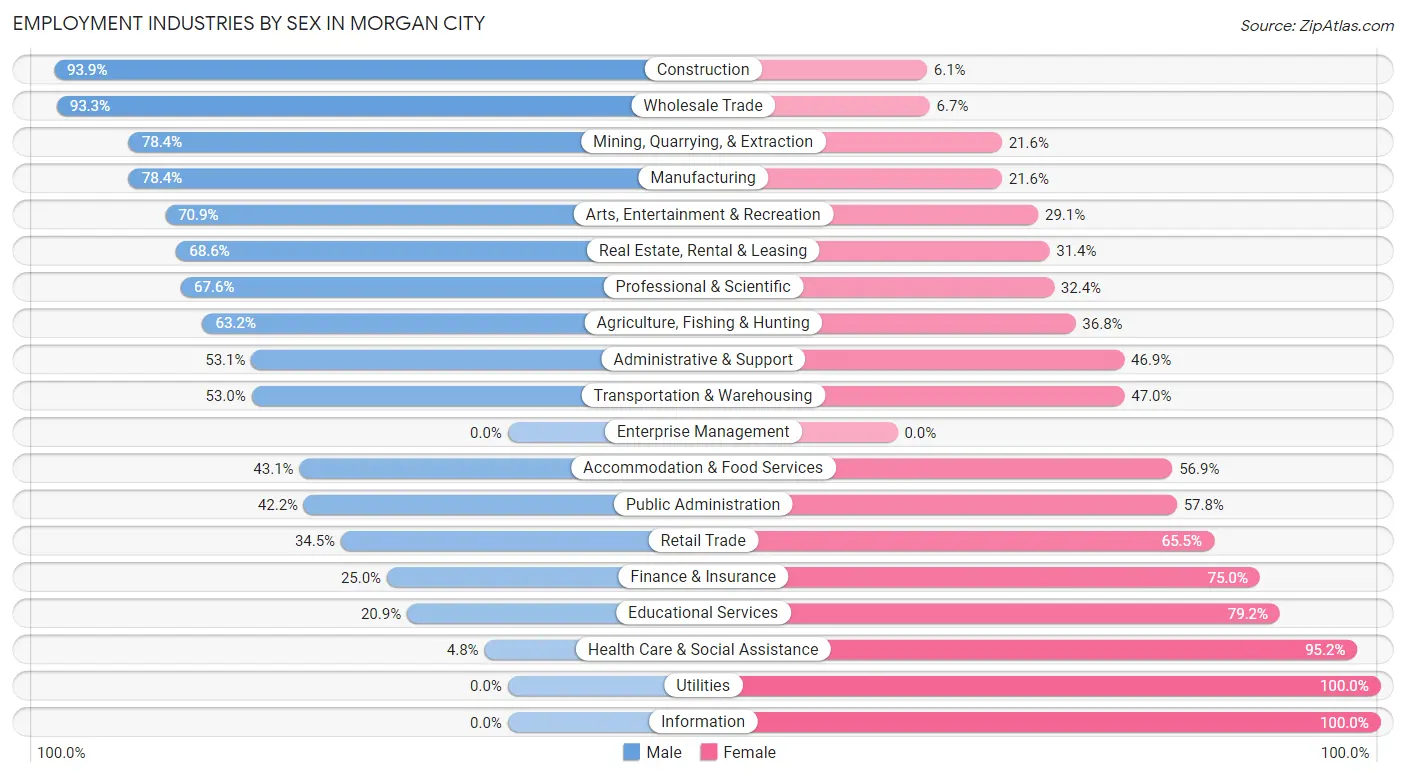 Employment Industries by Sex in Morgan City