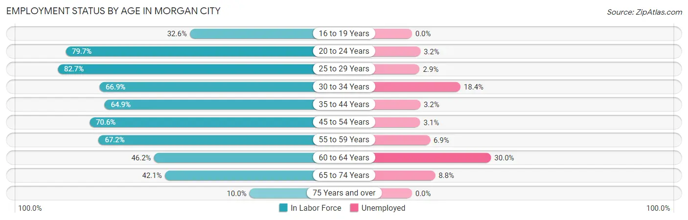 Employment Status by Age in Morgan City