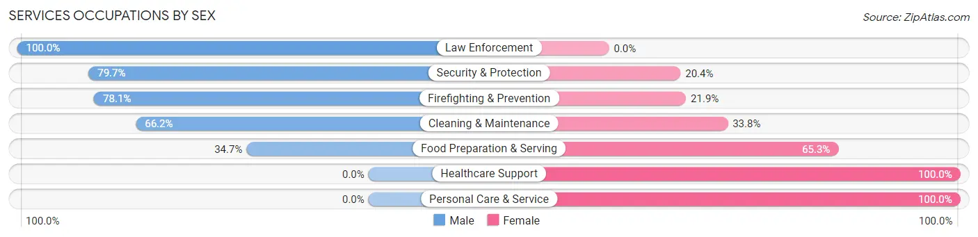 Services Occupations by Sex in Morgan City