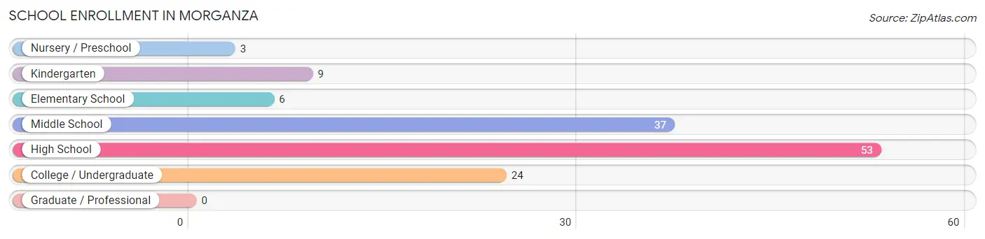 School Enrollment in Morganza