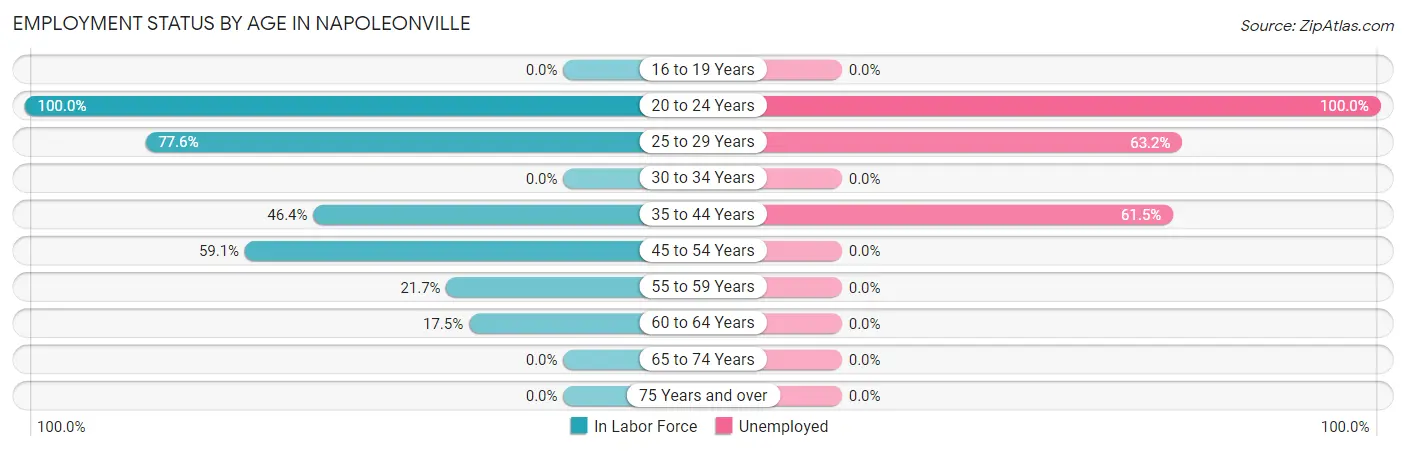 Employment Status by Age in Napoleonville