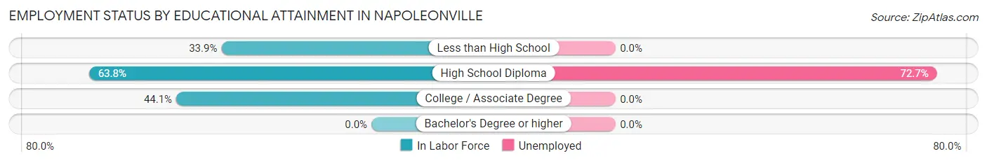 Employment Status by Educational Attainment in Napoleonville