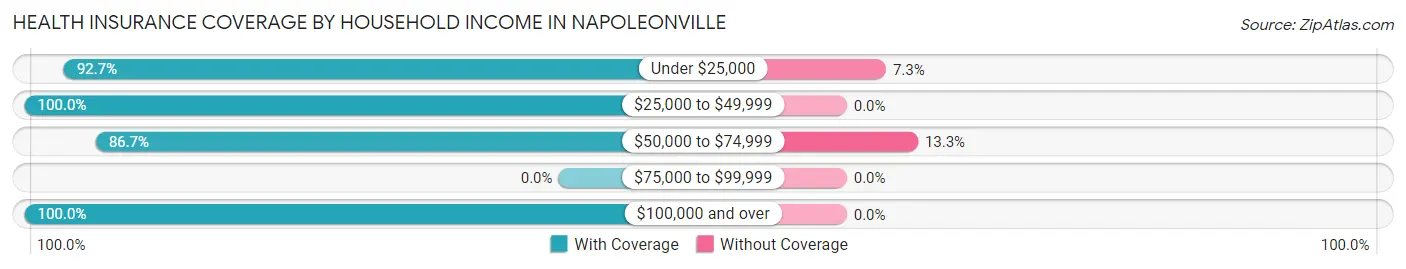 Health Insurance Coverage by Household Income in Napoleonville