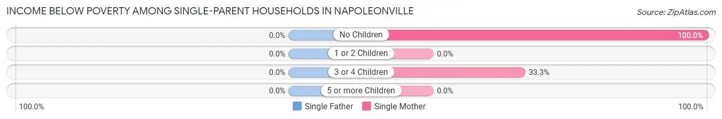 Income Below Poverty Among Single-Parent Households in Napoleonville
