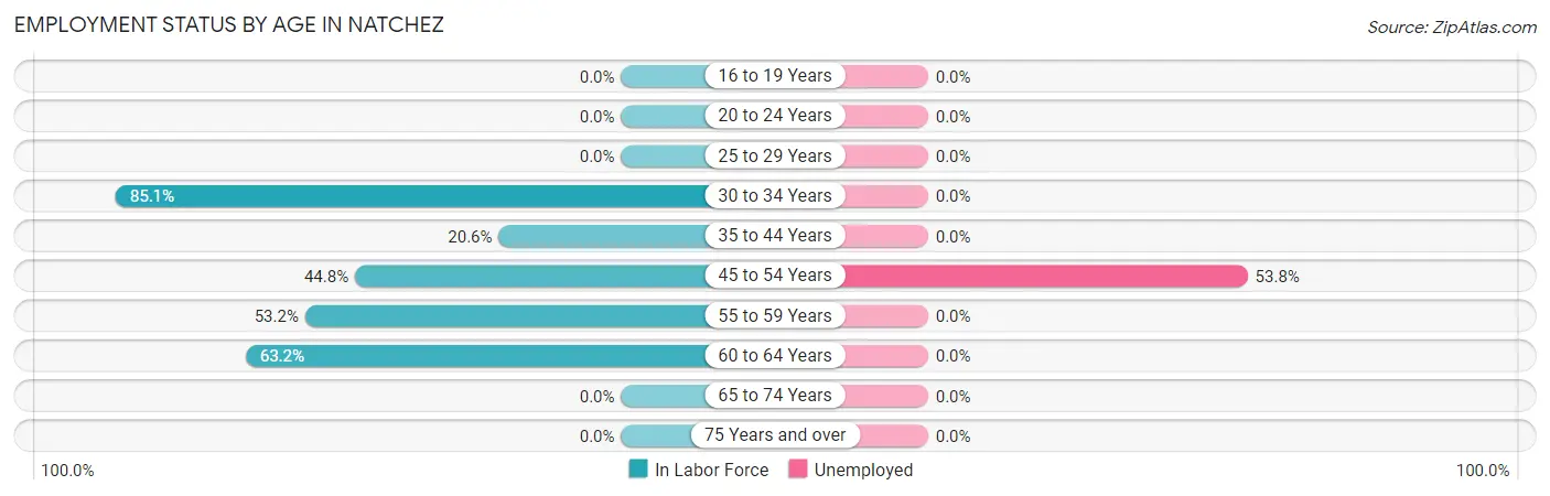 Employment Status by Age in Natchez