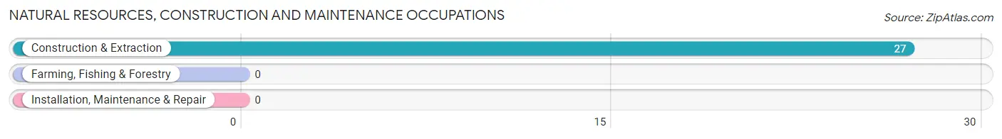 Natural Resources, Construction and Maintenance Occupations in New Orleans Station