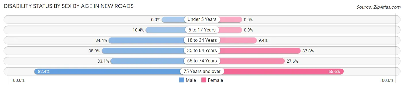 Disability Status by Sex by Age in New Roads