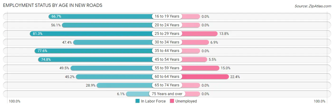 Employment Status by Age in New Roads