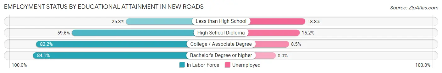 Employment Status by Educational Attainment in New Roads