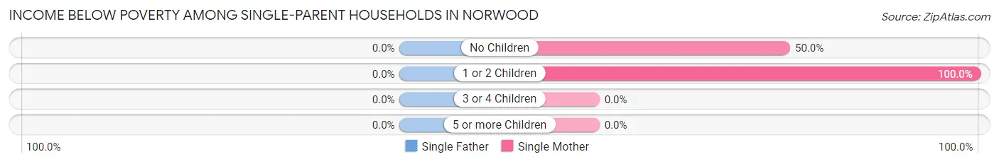 Income Below Poverty Among Single-Parent Households in Norwood