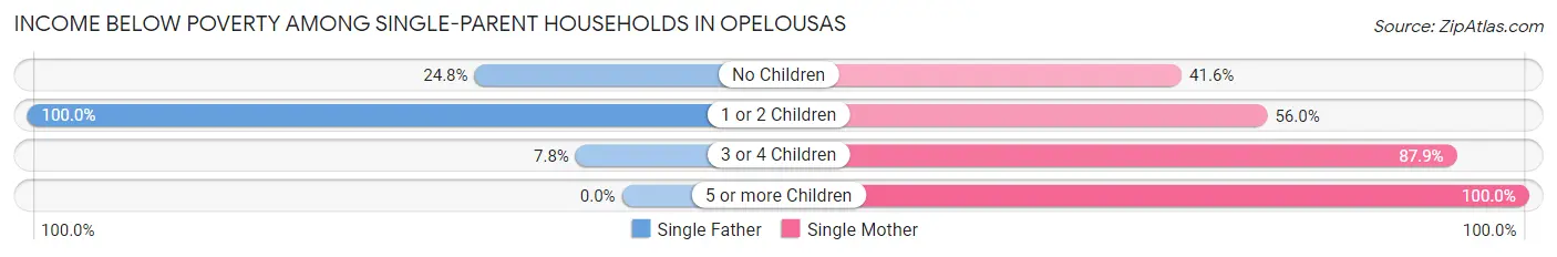 Income Below Poverty Among Single-Parent Households in Opelousas