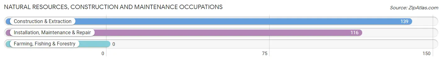 Natural Resources, Construction and Maintenance Occupations in Patterson