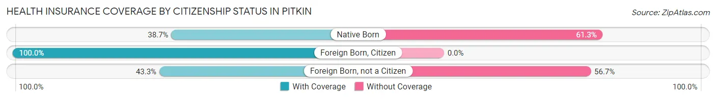 Health Insurance Coverage by Citizenship Status in Pitkin