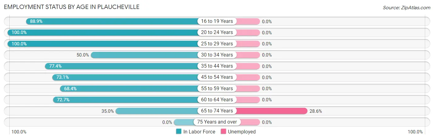 Employment Status by Age in Plaucheville