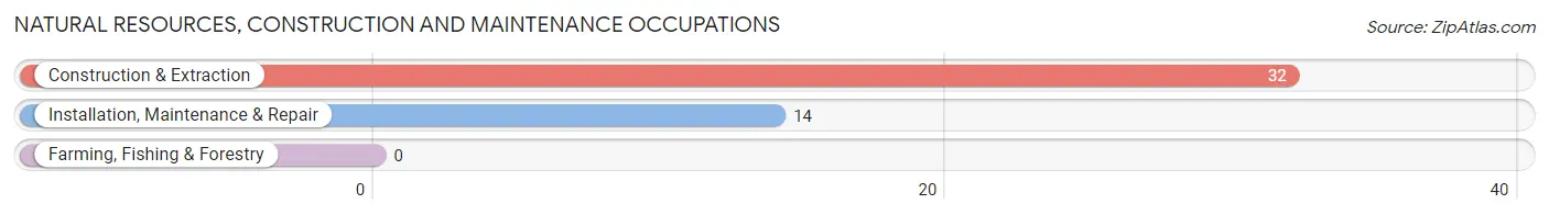 Natural Resources, Construction and Maintenance Occupations in Point Place