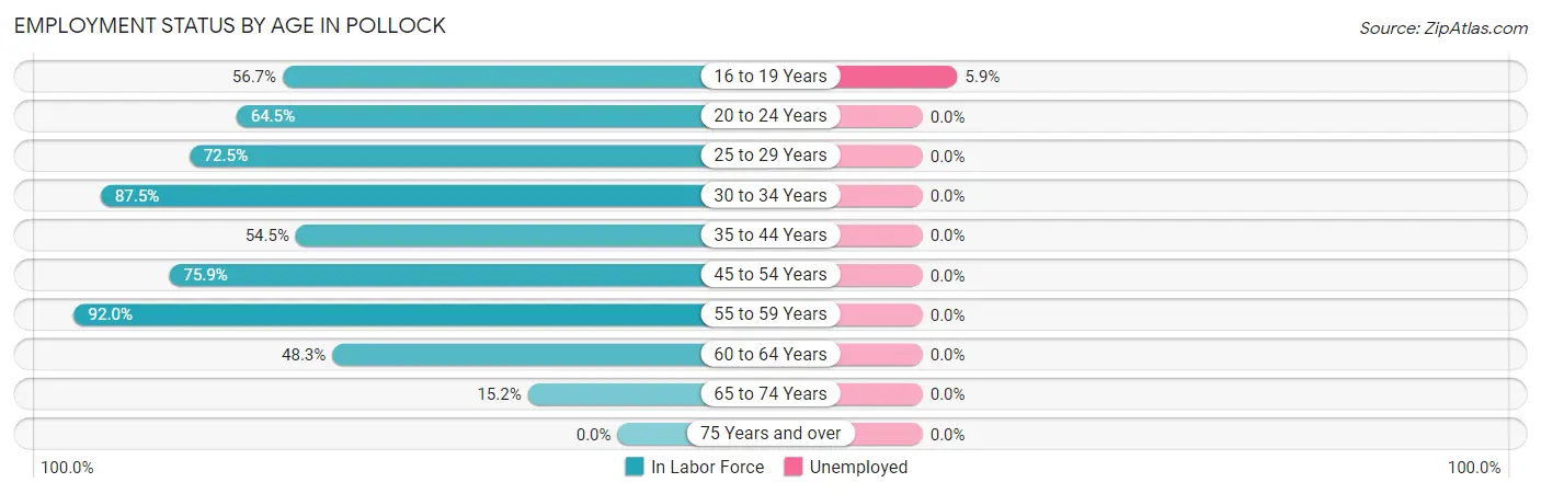 Employment Status by Age in Pollock