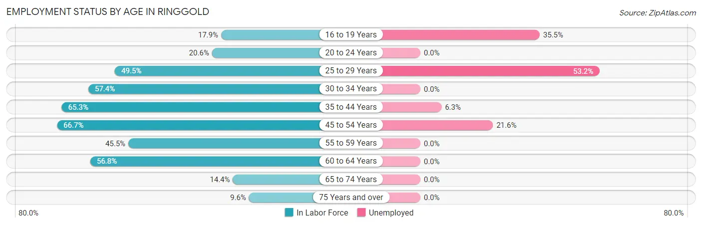 Employment Status by Age in Ringgold