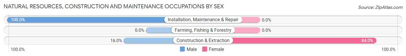 Natural Resources, Construction and Maintenance Occupations by Sex in Ringgold