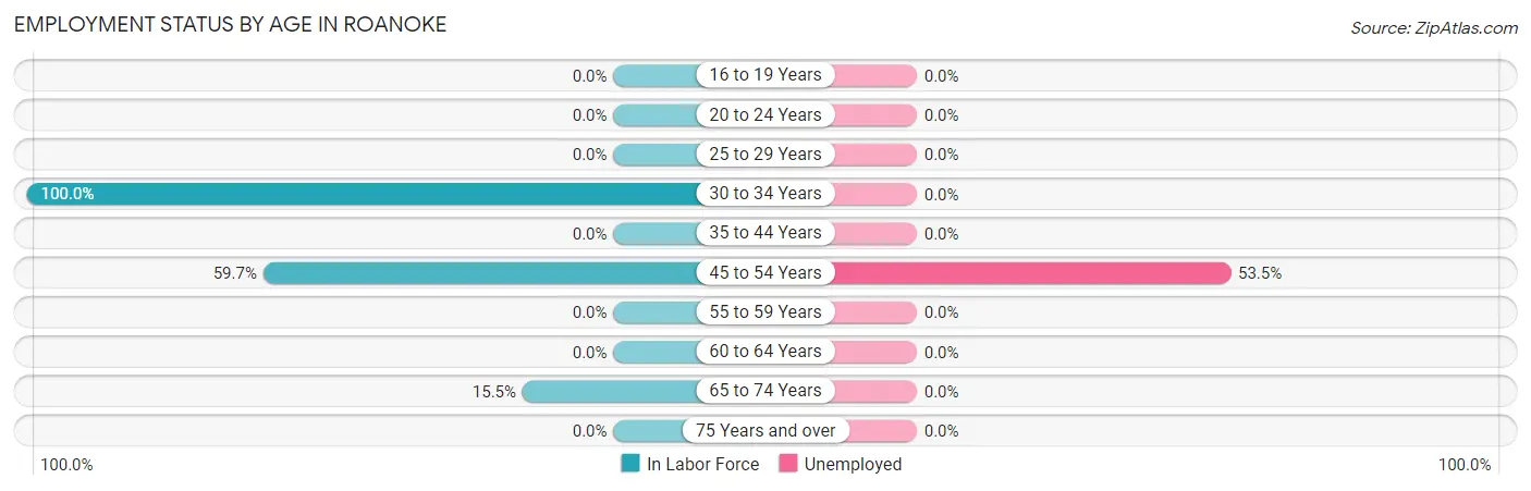Employment Status by Age in Roanoke