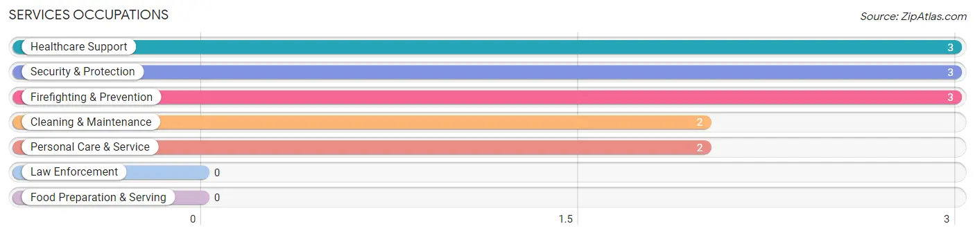 Services Occupations in Rodessa