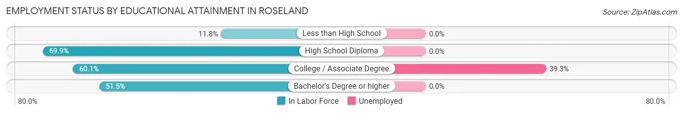 Employment Status by Educational Attainment in Roseland