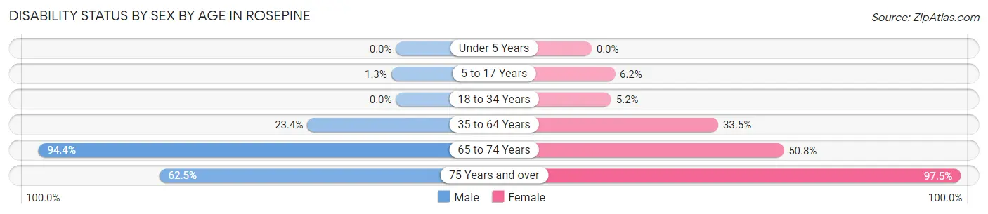 Disability Status by Sex by Age in Rosepine