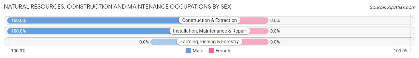 Natural Resources, Construction and Maintenance Occupations by Sex in Scott