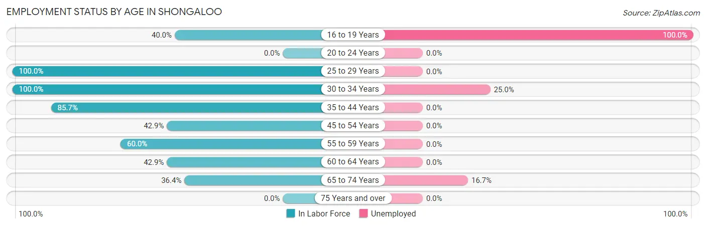 Employment Status by Age in Shongaloo