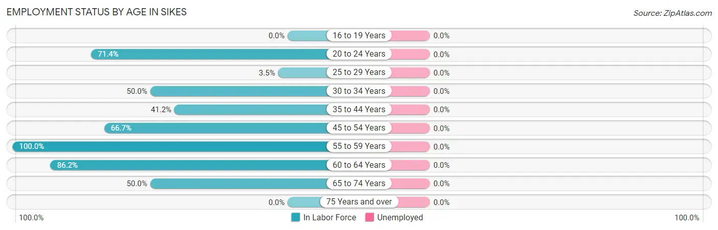 Employment Status by Age in Sikes