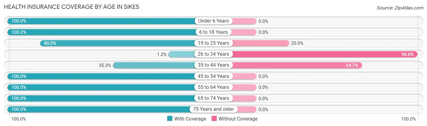 Health Insurance Coverage by Age in Sikes