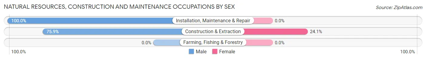 Natural Resources, Construction and Maintenance Occupations by Sex in Simsboro