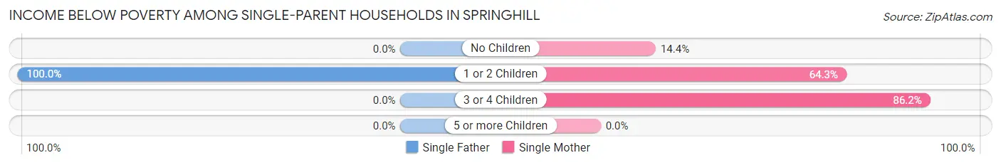 Income Below Poverty Among Single-Parent Households in Springhill
