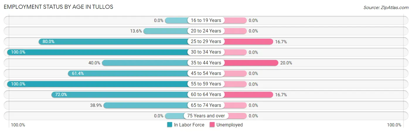 Employment Status by Age in Tullos