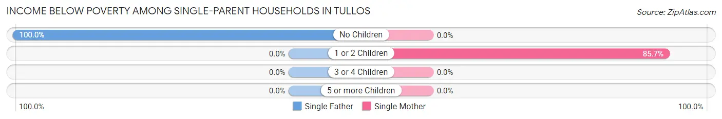 Income Below Poverty Among Single-Parent Households in Tullos