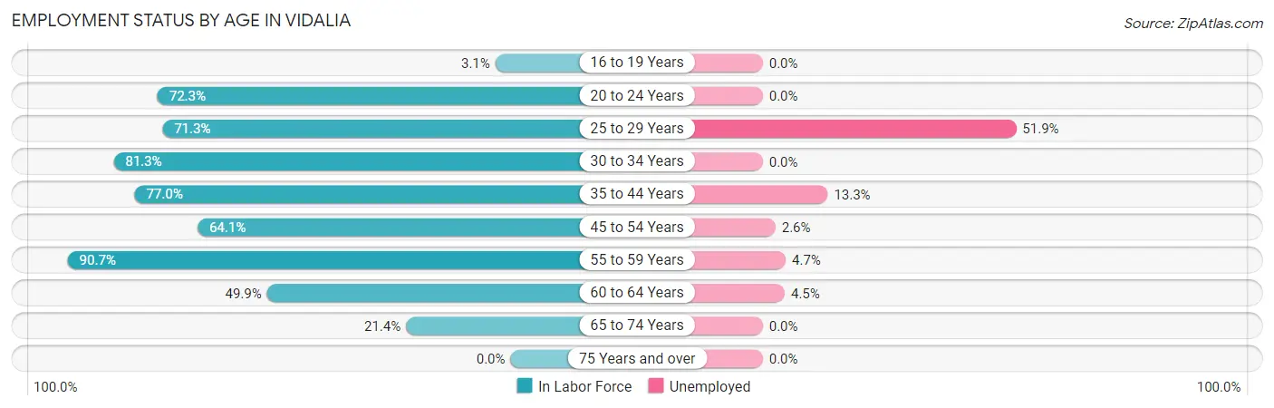 Employment Status by Age in Vidalia