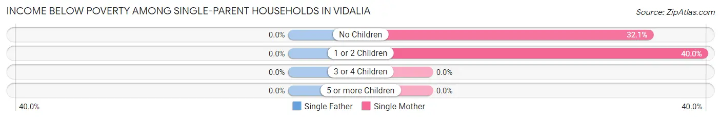 Income Below Poverty Among Single-Parent Households in Vidalia
